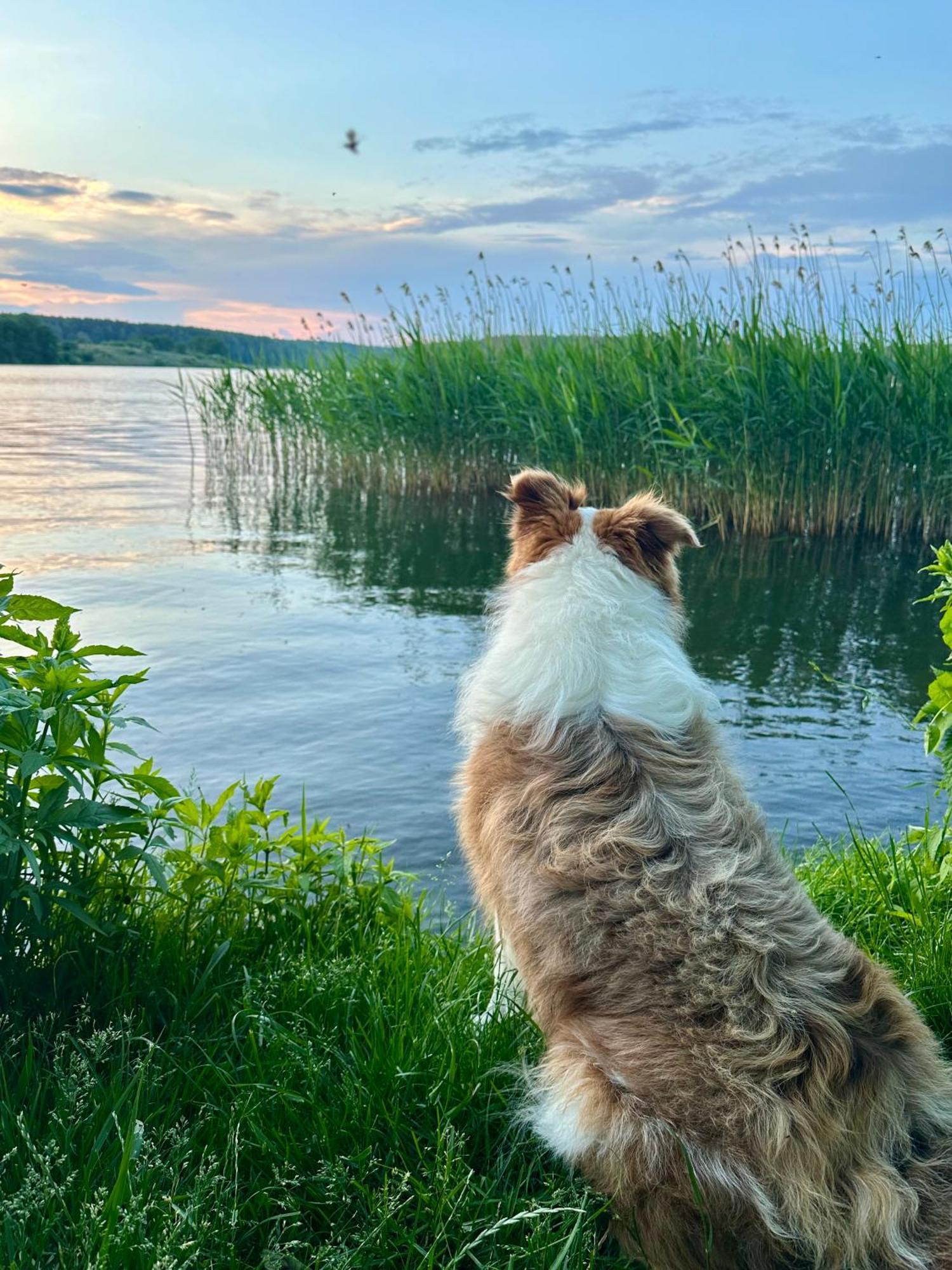 Pensjonat Rybical Ryn  Kültér fotó